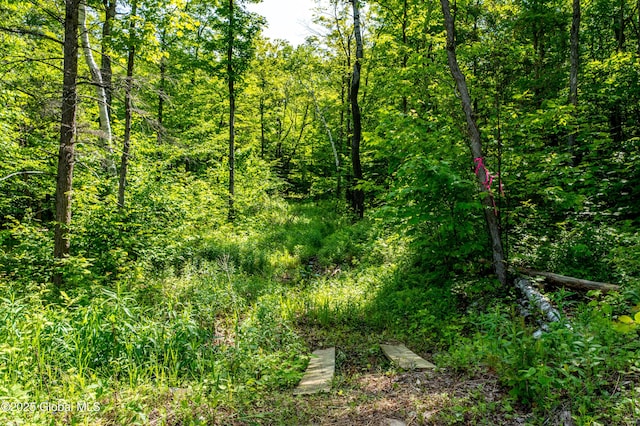 7209 Rte 23, Durham, NY 12423 - photo 23
