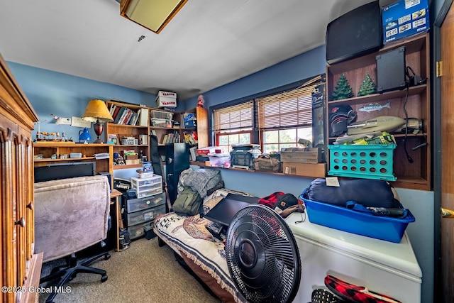 2 Moonglow Rd, Wilton, NY 12831 - view of carpeted office