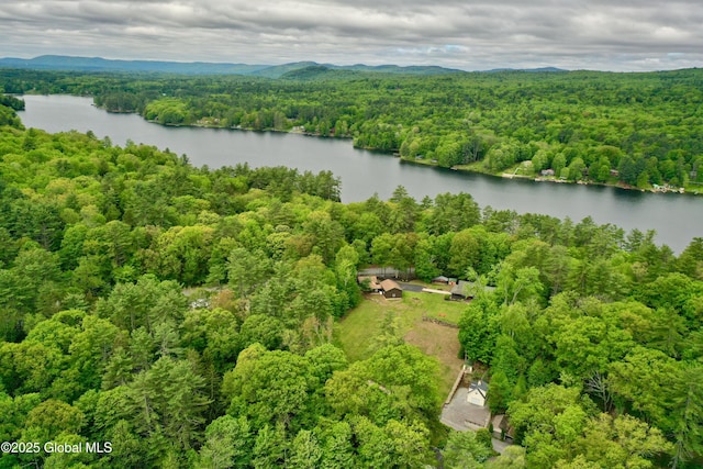 1370 Copeland Pond Rd, Fort Ann, NY 12827 - photo 45