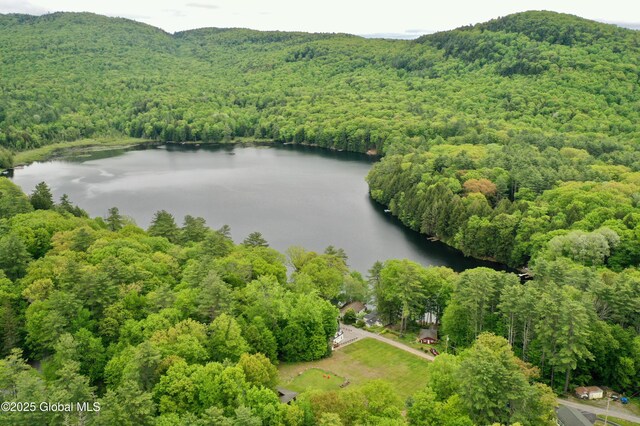 1370 Copeland Pond Rd, Fort Ann, NY 12827 - photo 46
