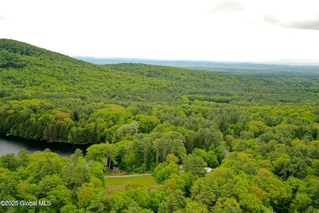 1370 Copeland Pond Rd, Fort Ann, NY 12827 - photo 47