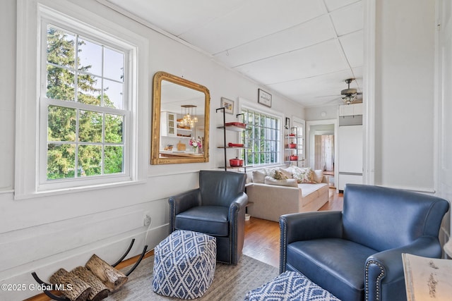 378 County Route 354, Rensselaerville, NY 12469 - sitting room featuring plenty of natural light, wood finished floors, and ceiling fan