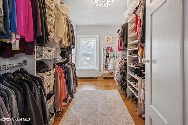378 County Route 354, Rensselaerville, NY 12469 - walk in closet featuring wood finished floors