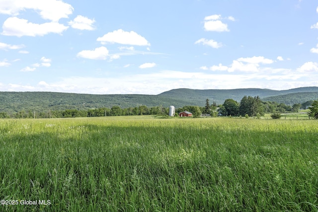 378 County Route 354, Rensselaerville, NY 12469 - mountain view featuring rural landscape