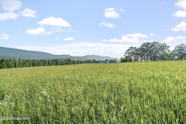 378 County Route 354, Rensselaerville, NY 12469 - mountain view with rural landscape