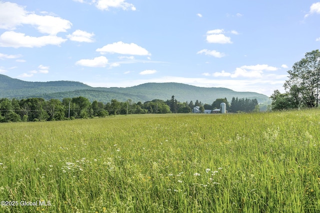 378 County Route 354, Rensselaerville, NY 12469 - view of mountain backdrop with rural landscape