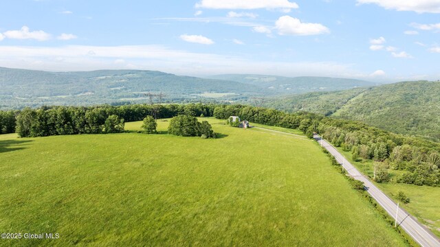 378 County Route 354, Rensselaerville, NY 12469 - view of rural area with a mountainous background