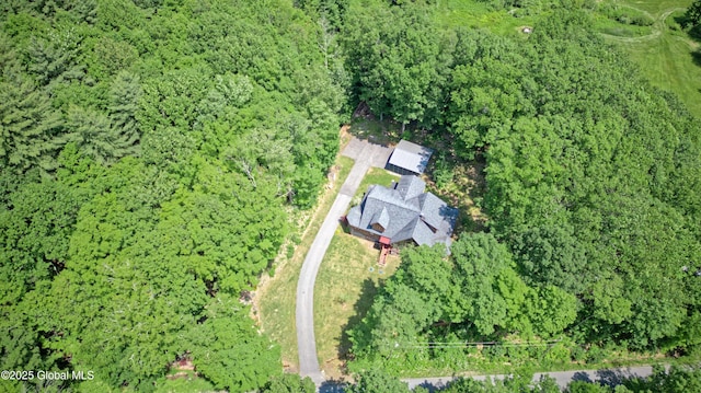 236 Colfax Rd, Jackson, NY 12816 - view of property location with a heavily wooded area