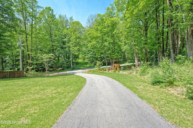 236 Colfax Rd, Jackson, NY 12816 - view of home's community with driveway and a view of trees