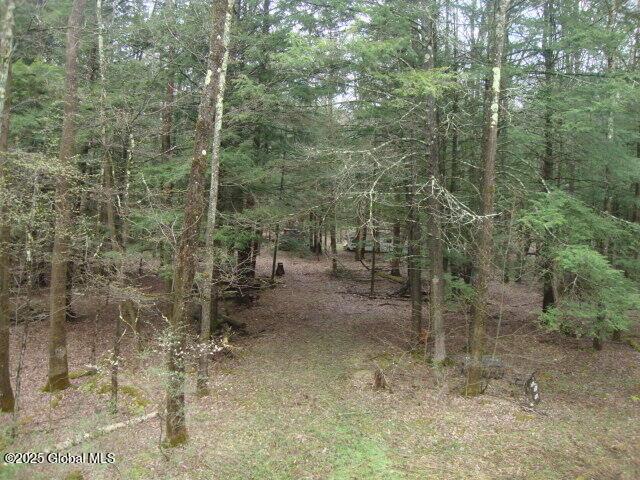 152 Fred Ottaway Rd, Middlefield, NY 13326 - photo 5