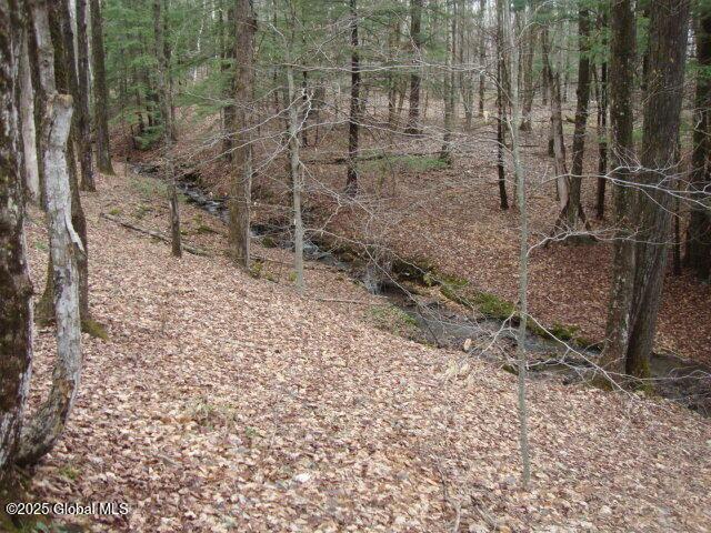 152 Fred Ottaway Rd, Middlefield, NY 13326 - photo 6