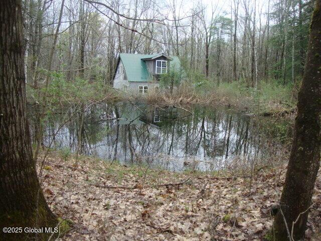 152 Fred Ottaway Rd, Middlefield, NY 13326 - photo 2