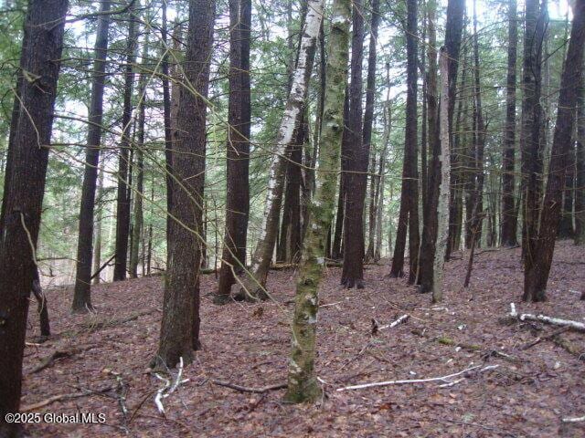 152 Fred Ottaway Rd, Middlefield, NY 13326 - photo 7