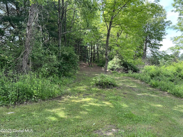 121 Quivey Hill Rd, Granville, NY 12832 - photo 29