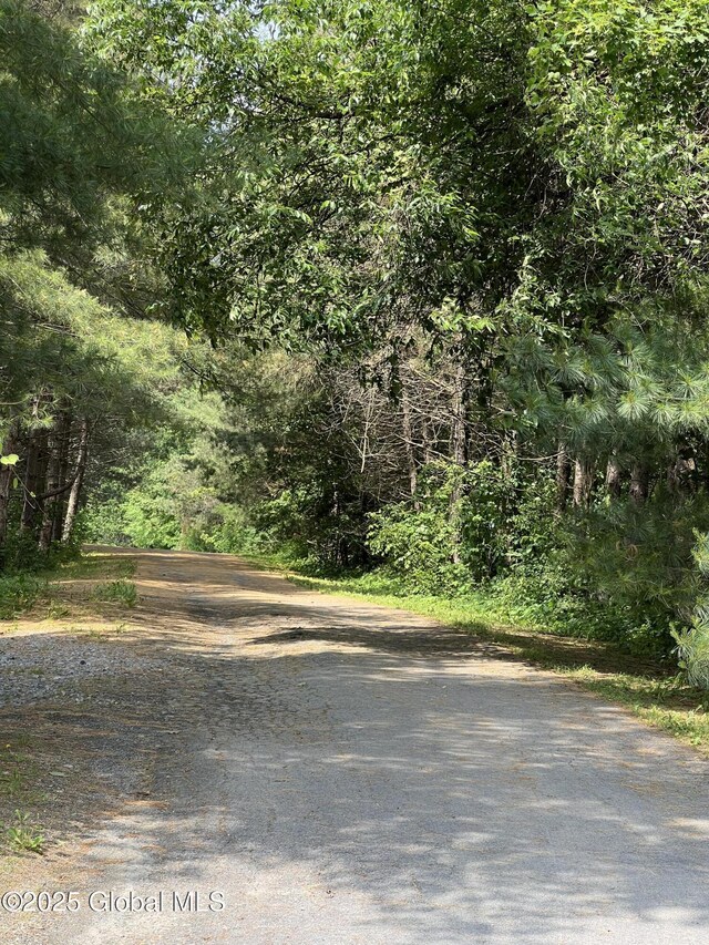 121 Quivey Hill Rd, Granville, NY 12832 - photo 22