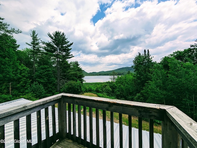 92 Riddle Rd, Moriah, NY 12956 - photo 17