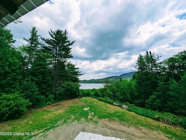 92 Riddle Rd, Moriah, NY 12956 - photo 9