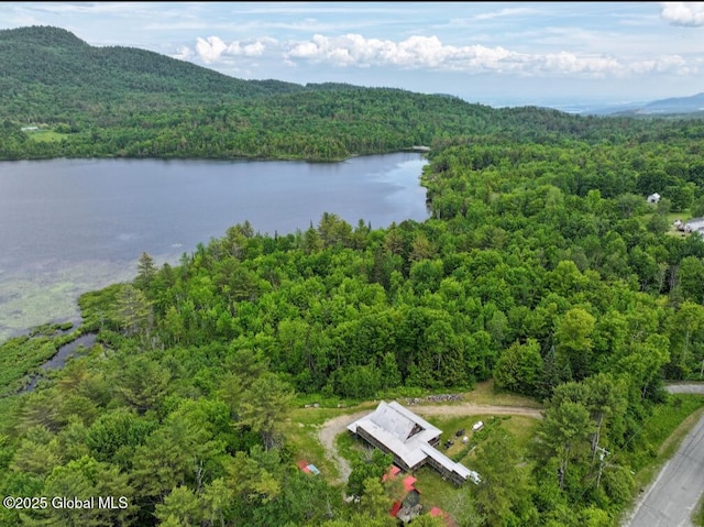 92 Riddle Rd, Moriah, NY 12956 - photo 29