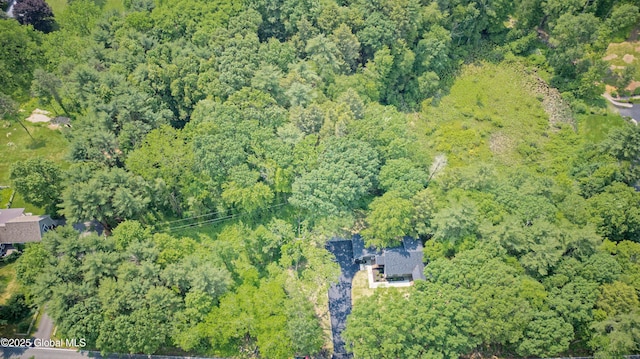 17 Meadowdale Rd, New Scotland, NY 12009 - photo 6