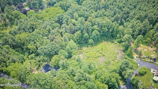 17 Meadowdale Rd, New Scotland, NY 12009 - photo 51