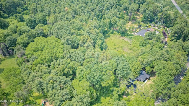 17 Meadowdale Rd, New Scotland, NY 12009 - photo 52