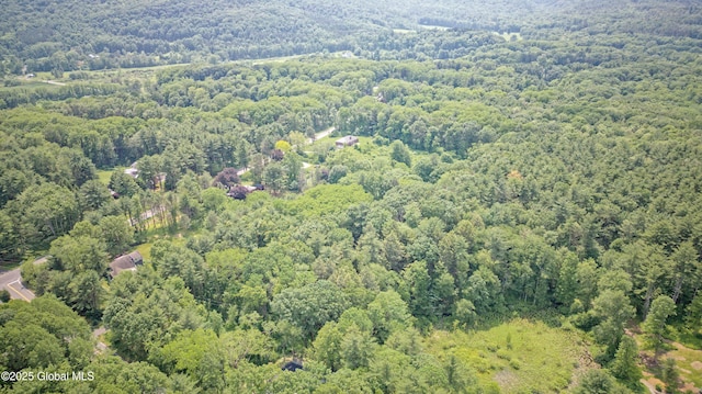 17 Meadowdale Rd, New Scotland, NY 12009 - photo 54