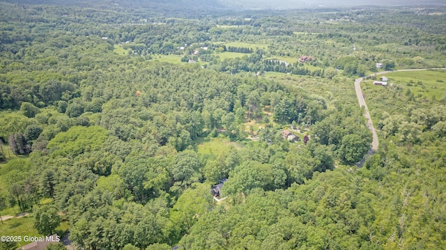 17 Meadowdale Rd, New Scotland, NY 12009 - photo 55
