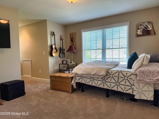20 Beekman Pl, Queensbury, NY 12804 - bedroom with carpet and baseboards