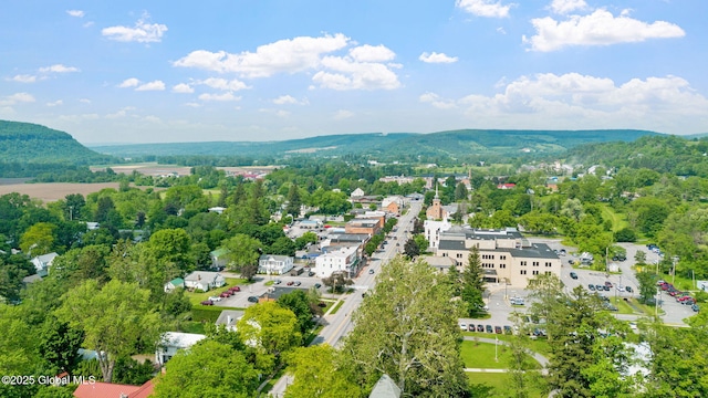252 Main St, Schoharie, NY 12157 - photo 64