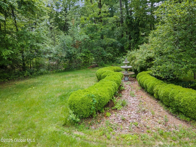 11 Boylston Dr, Bethlehem, NY 12054 - view of yard with a view of trees
