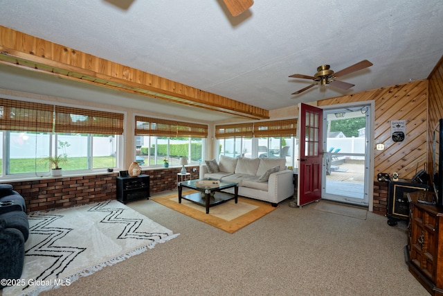 1038 Horvath St, Schenectady, NY 12303 - carpeted living area with ceiling fan, a wood stove, wood walls, and a textured ceiling