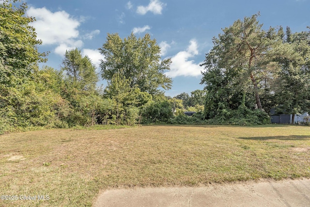 11 Drawbridge Dr, Guilderland, NY 12203 - view of undeveloped land