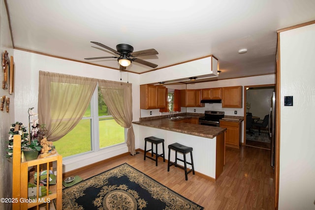 22 Elm Lane Ext, Westerlo, NY 12083 - kitchen with stainless steel appliances, a peninsula, dark wood finished floors, brown cabinetry, and a ceiling fan