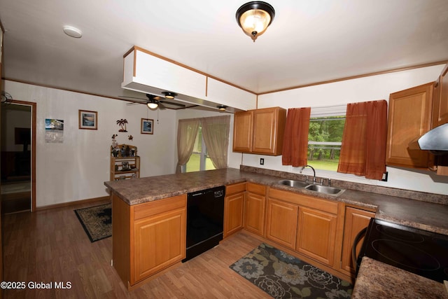 22 Elm Lane Ext, Westerlo, NY 12083 - kitchen featuring black appliances, a peninsula, light wood finished floors, and healthy amount of natural light