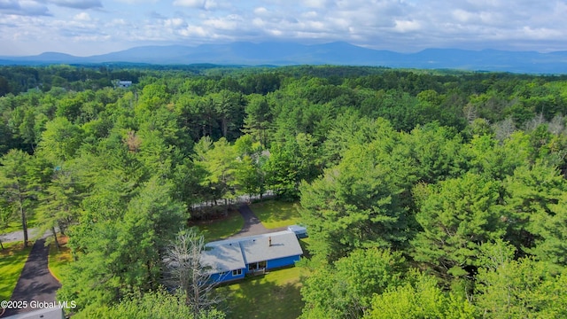 22 Elm Lane Ext, Westerlo, NY 12083 - aerial view of property and surrounding area with a mountainous background