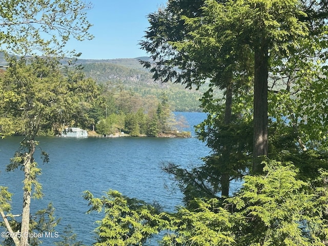 110 Sagamore Rd Unit 6B5, Bolton, NY 12814 - water view featuring a heavily wooded area