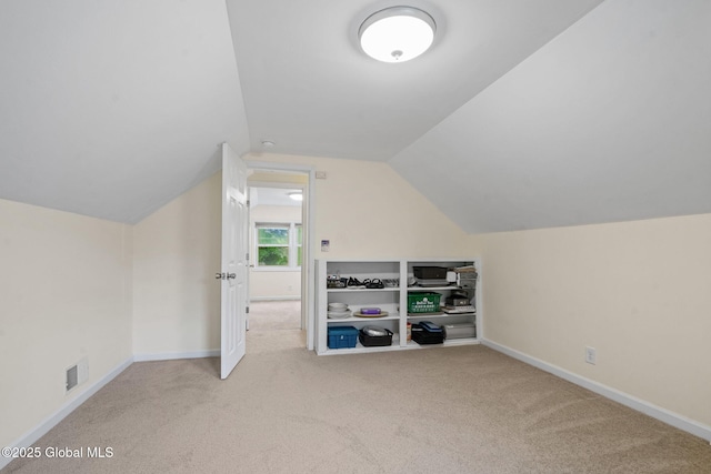 1148 Outer Dr, Rotterdam, NY 12303 - additional living space featuring carpet floors and vaulted ceiling
