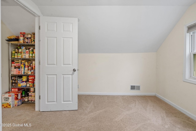 1148 Outer Dr, Rotterdam, NY 12303 - bonus room featuring carpet floors and vaulted ceiling