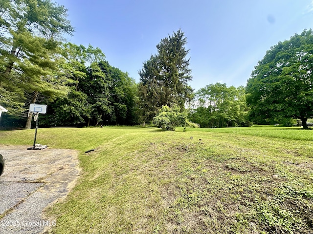 32 Parsons Ave, Hoosick Falls, NY 12090 - photo 5