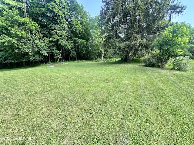 32 Parsons Ave, Hoosick Falls, NY 12090 - photo 6
