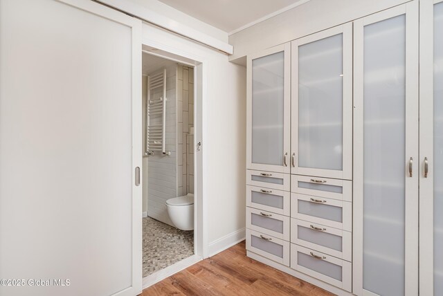 35 Magee Dr, Bethlehem, NY 12077 - view of closet