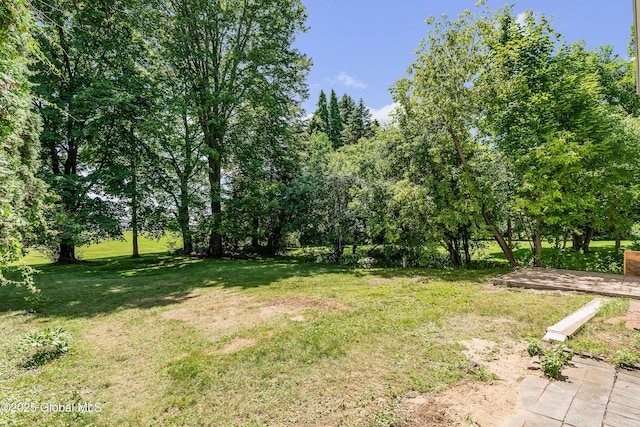 35 Magee Dr, Bethlehem, NY 12077 - view of green lawn with view of scattered trees