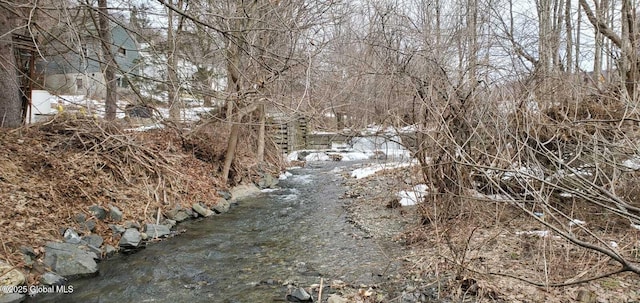 18 Railroad Ave, Berlin, NY 12022 - view of yard