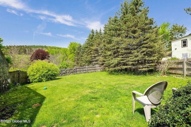 143 Main St, Maryland, NY 12155 - view of fenced backyard