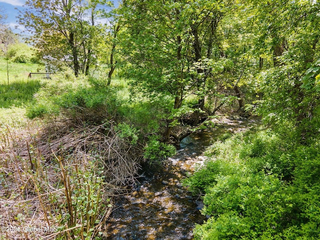143 Main St, Maryland, NY 12155 - view of undeveloped land