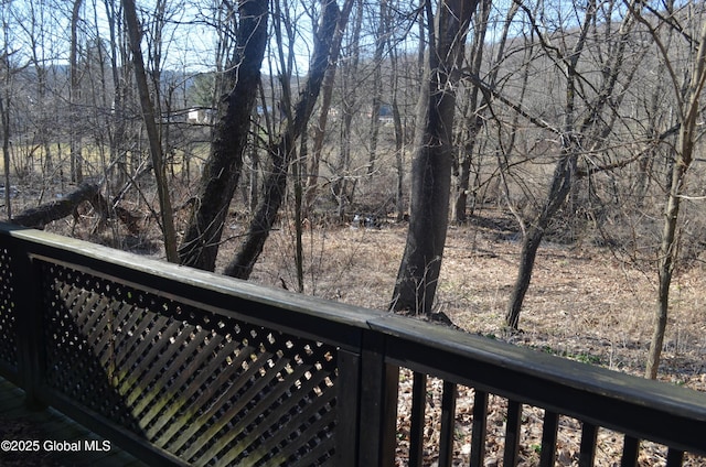 143 Main St, Maryland, NY 12155 - view of wooden deck