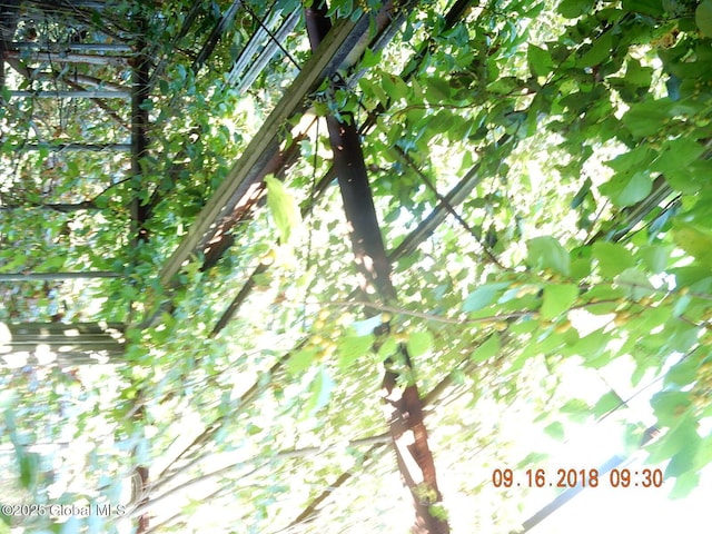143 Main St, Maryland, NY 12155 - view of undeveloped land
