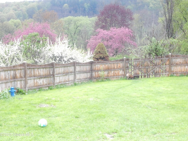 143 Main St, Maryland, NY 12155 - fenced backyard with a forest view