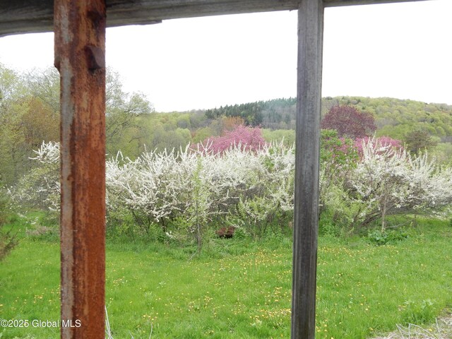 143 Main St, Maryland, NY 12155 - view of yard featuring a forest view
