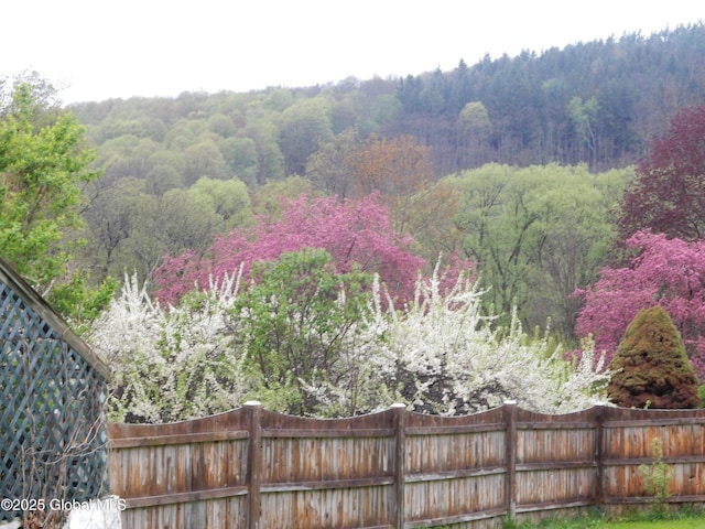 143 Main St, Maryland, NY 12155 - view of yard with a view of trees